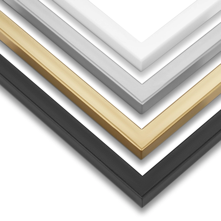 kleur van het frame