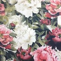 Peonies - MONABI