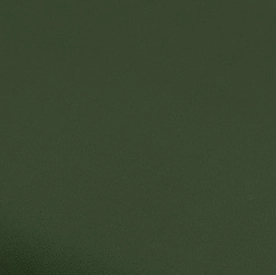 Donkergroen - BLANCA